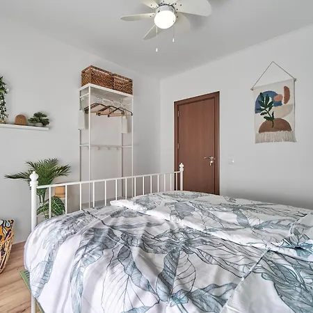 Bohogaia Daire Aziz Konstantin ve Elena