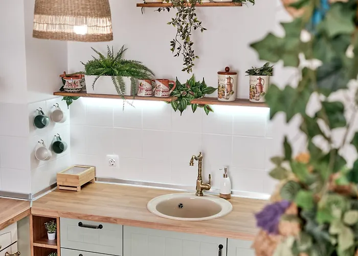 Daire Bohogaia Aziz Konstantin ve Elena